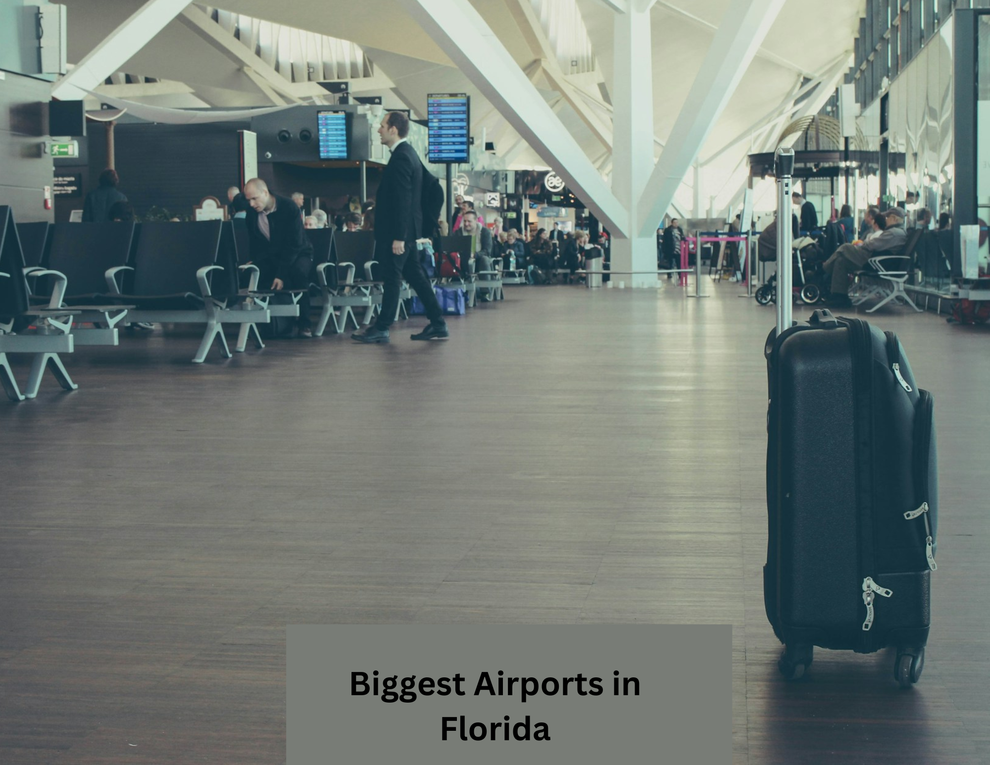 Biggest Airports in Florida